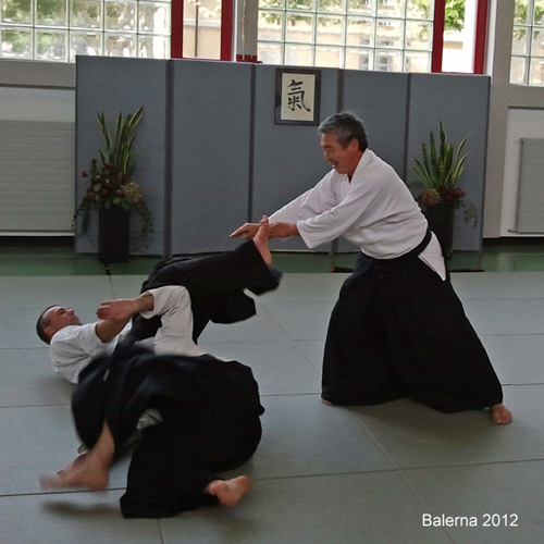 divertimento aikido