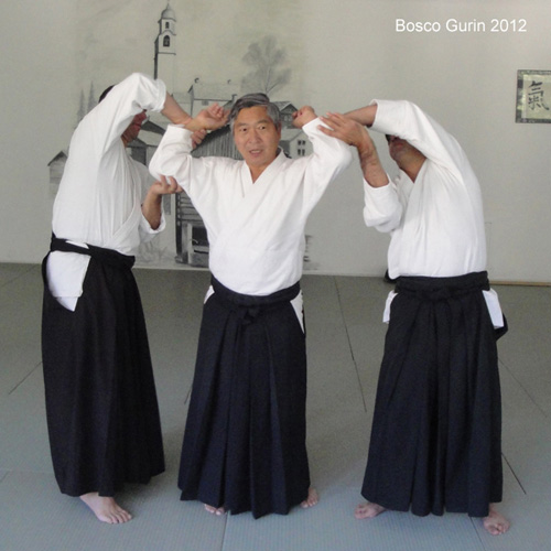 cadute aikido