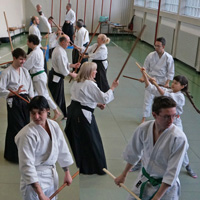 pratica aikido Balerna